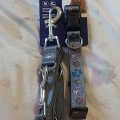 dog leash and collar