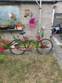 Royal Derby Marlboro 3 speed bike