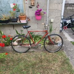 Royal Derby Marlboro 3 speed bike