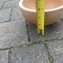 bowl Image 3
