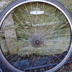 28" bike back wheel
