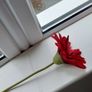 Artificial Flowers Image 6