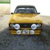 Shane1600