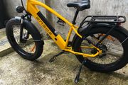 eletric bike