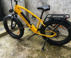 eletric bike