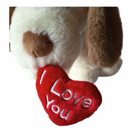 Cute Puppy Dog Holding Heart