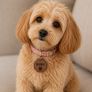 Personalised Walnut Dog Name Tag Image 3