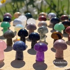 Mini Crystal Carvings Gemstones Mushroom, Heart, Star, Moon ect