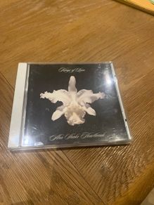 Kings Of Leon - Aha Shake Heartbreak