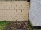 waste removal Image 4