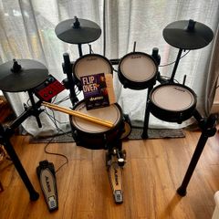 Alexis Nitro Pro Electronic Drum Kit + Drumeo Lessons