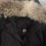 canada goose Image 3