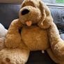 Two large teddy bears Image 2