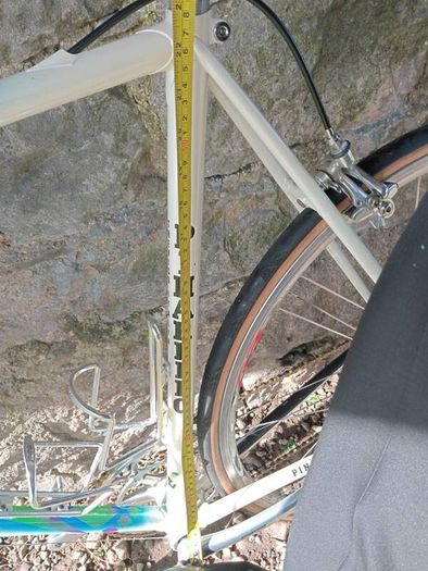 Pinarello Treviso 56cm Campagnolo Record 10 sp