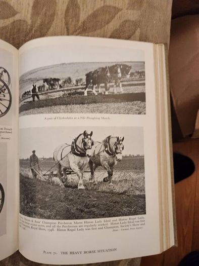 The Horseman's Year Book. Edited By Lt.col.w.e.lyon. 1950 First Edition Hardback In Good Condition. Plus Hunting,showing, And Chasing. By Sam Marsh. See Photos For Same.