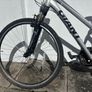 Ladies Giant Hybrid Image 3