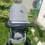 buggy Image 4