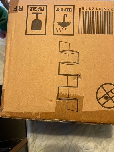shelf