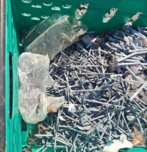 Galvanised Shed Nails