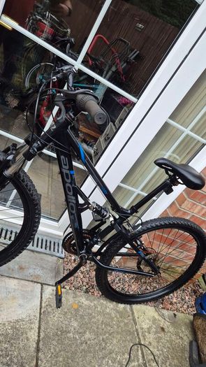apollo mtb mountain bike