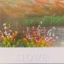 Art Image 3