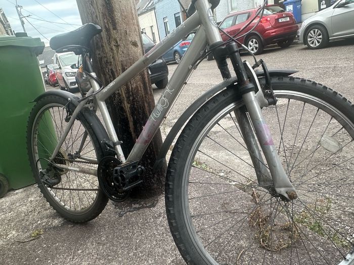Apollo Twilight Mountain bike