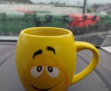 m&m mug