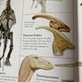 The Big Book of Dinosaurs. Image 6