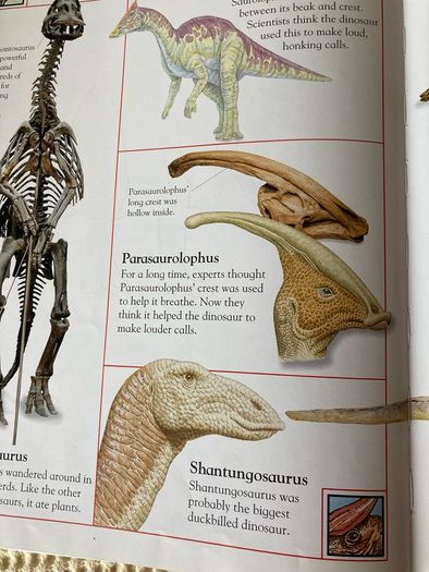 The Big Book of Dinosaurs.