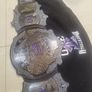 The Undertaker 30 Years Signature Series Championship Title. Image 3