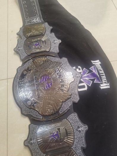 The Undertaker 30 Years Signature Series Championship Title.