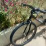 mountain bike Image 3