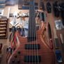 MTD Fretless Bass Image 6