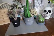 Artificial plants
