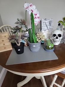 Artificial plants