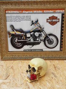 Harley Davidson