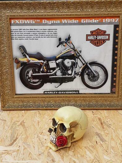 Harley Davidson