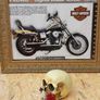 Harley Davidson Image 5