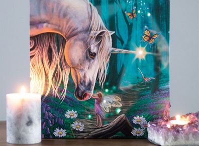 Stunning Fairy Realm Canvas with Magic Lights - excellent gift