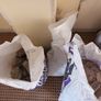Rubble Image 2