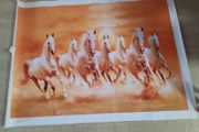 brand new 7 horses canvas print without frame