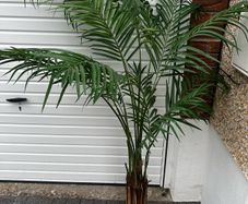 Artificial Plant