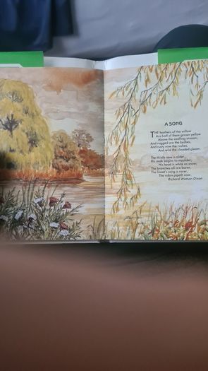 BEAUTIFUL ILLUSTRATED. THE FIRESIDE BOOK. 1995.POEMS OLD AND NEW EACH BEAUTIFULLY illustrated by a full page painting special commission to capture the flavour of the words. Hardback With Dustjacket In Very Good Condition.