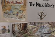 The Wild Woods Storybook By Simon James