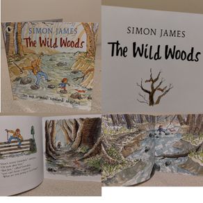The Wild Woods Storybook By Simon James