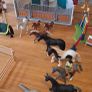 Schleich Horse Club Lakeside Country House and Stable Image 5