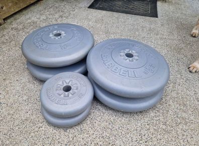 Weight Plates standard 25 mm