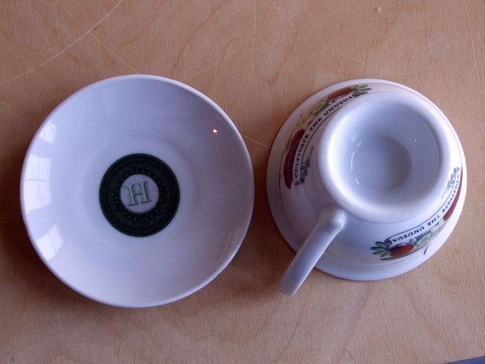Hendrick's Gin cup and saucer