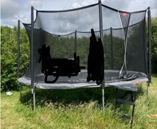 14ft trampoline