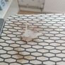 ironing board and iron Image 2